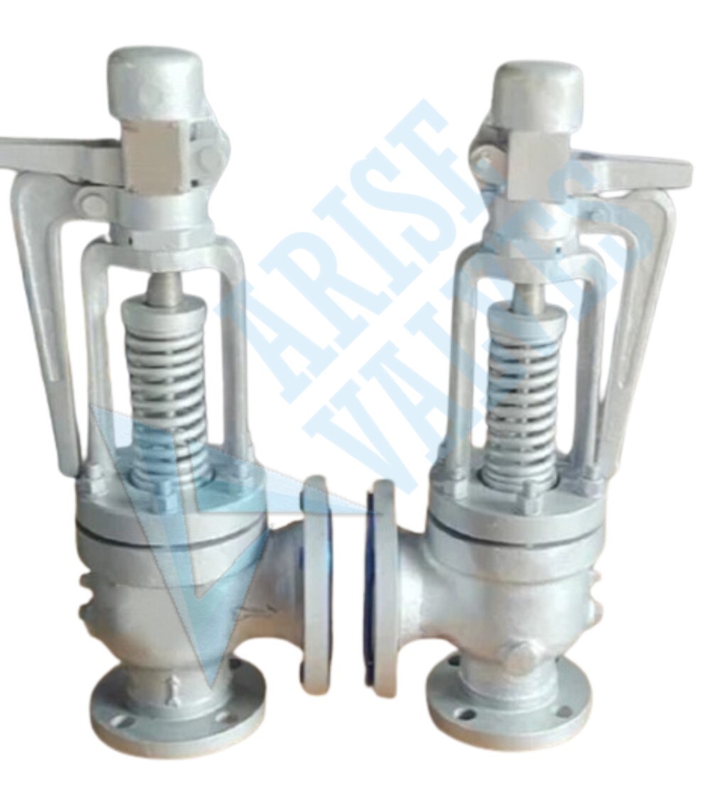 Safety-Relief-Valve-Manufacturer-in-Banglore.jpg